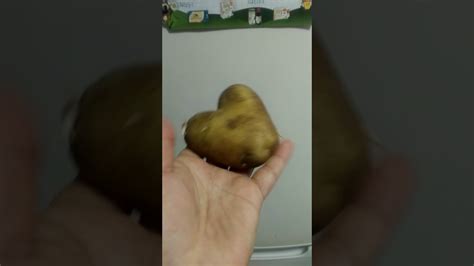 Potato Love Youtube