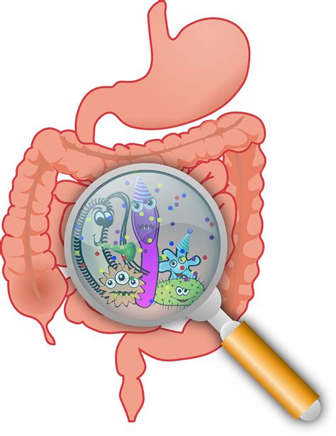 Cancer in the Digestive System | PearlPoint Nutrition Services®