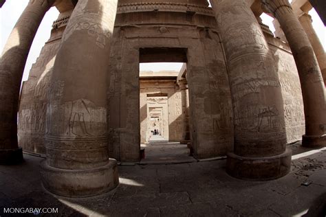Temple Of Kom Ombo [egypt 1654]