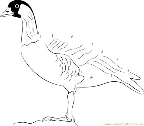 Download Connect the Dots Hawaiian goose (Birds > Nene) - dot to ...