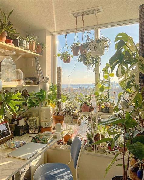 𝚉𝚊𝚛𝚊 On Instagram So Many Plants 🌱🌿🌾🍃🌱🌿🌾🍃do You Have Any Plants