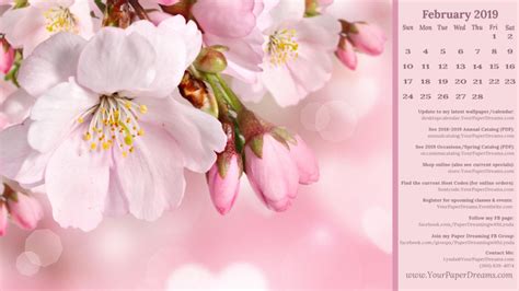 Februarys Wallpapercalendar Spring Flowers 2148529 Hd
