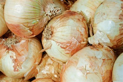 12 Vidalia Onion Recipes Add A New Twist To A Classic Vegetable