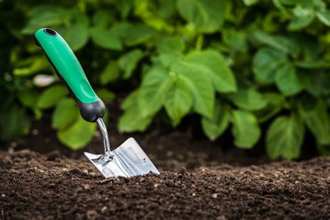 How Can You Choose The Right Garden Soil Without Damaging