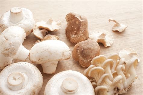 Varieties Of Fresh Edible Mushrooms Free Stock Image