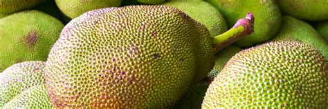 Where Does Jackfruit Come From And How Is It Grown