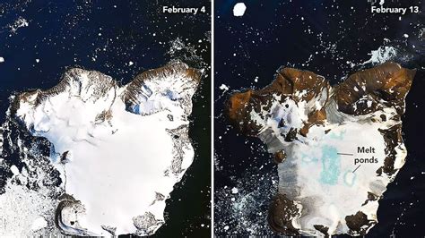see record high temperatures strip antarctica of huge amounts of ice live science antarctica