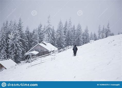 Beautiful Winter Mountain Landscape Cabin In The