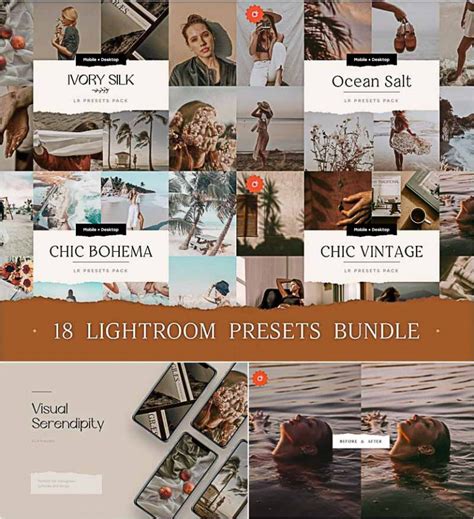 Here are our top favorite lightroom presets Top Chic Presets Bundle | Free download