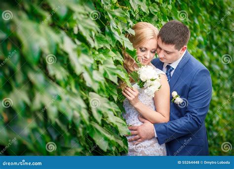 Groom Embraces The Bride Stock Photo Image Of Kiss Celebration 55264448