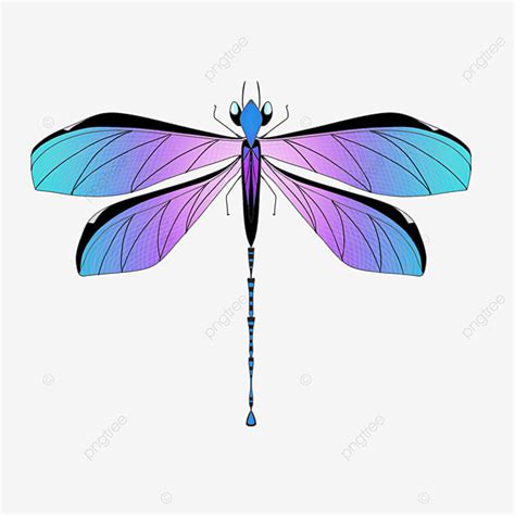 Dragonfly Wings Clipart Hd Png Gradient Colored Wings Dragonfly