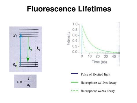 Ppt Fluorescence Lifetimes Powerpoint Presentation Id6712412