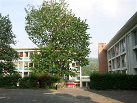 Lycée Rabelais de Meudon – Annulation du bac blanc destiné aux classes