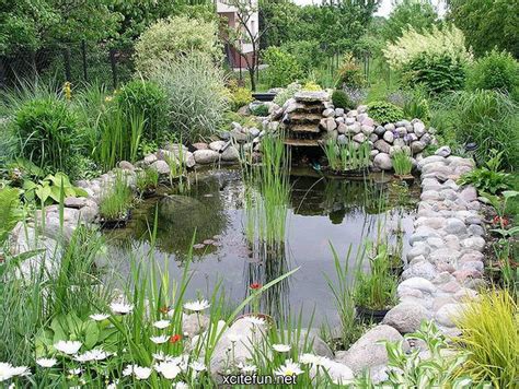 Aqua Gardens The Watery Landscape