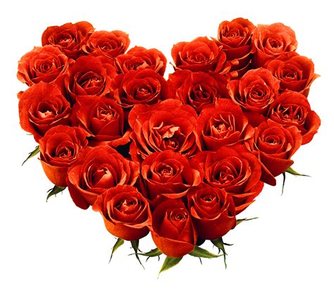 Bouquet Of Roses Png Image Free Picture Download Transparent Image