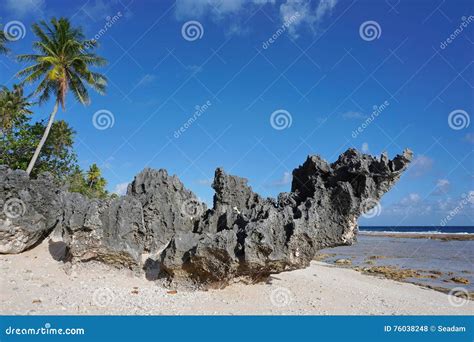 Eroded Rock Formation On Beach French Polynesia Stock Photo Image Of
