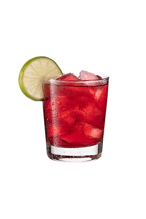 Summer Cranberry Cocktail Recipe Recipes Net