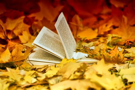 Livre Et Feuilles Dautomne Photo Stock Image Du Feuillage Loisirs