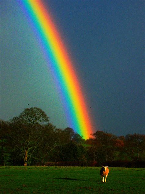 Подбор аккордов для песни don williams wrong end of the rainbow. rainbow (colours enhanced) | I've enhanced the colours in ...