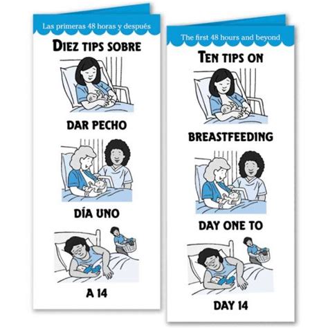 Ten Tips Breastfeeding Day One To 14 Pamphlet Noodle Soup
