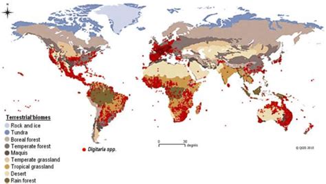 Species Distribution According To The Vegetation Types In World