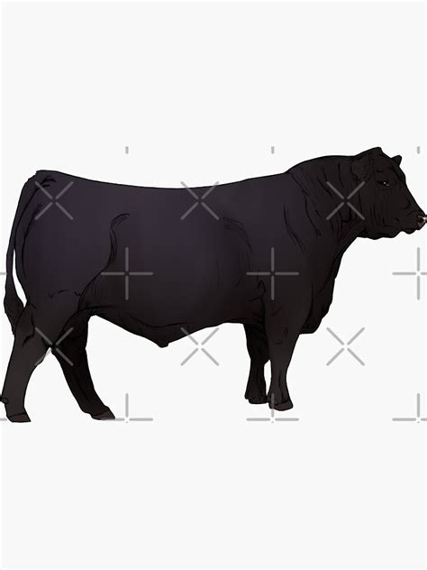 Angus Bull Sticker For Sale By Mwinter2205 Redbubble