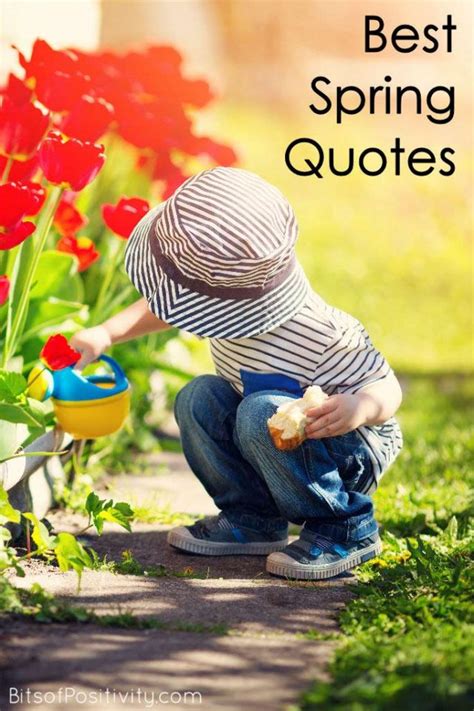 Best Spring Quotes Favorite Seasonal Inspiration Bits Of Positivity