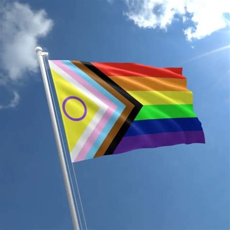 Intersex Pride Flag 5ft X 3ft Rainbow Gay Inclusive Flags With Eyelets
