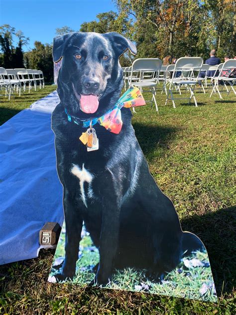 Custom Life Size Custom Cardboard Cutouts Create Amazing Photo Booth