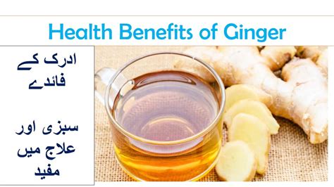 Ginger Health Benefits Ii Adrak Khane Ke Fayde Youtube