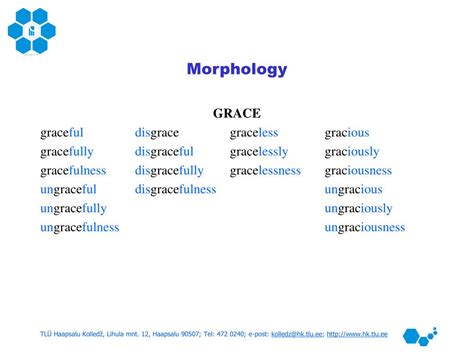 Ppt Basics Of Morphology Powerpoint Presentation Free Download Id