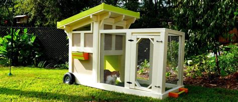 Both come back to the run around dusk. 43 FREE DIY Duck Coop Plans & Duck Houses Plans For ...