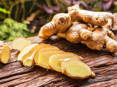How To Grow Ginger From Ginger Edible Ginger Is Zingiber Officinaleand The Part Used For