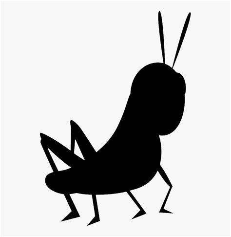 Cricket Bug Clipart Pics
