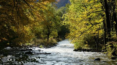 Download Wallpaper 2560x1440 River Trees Mountain Landscape Widescreen 169 Hd Background