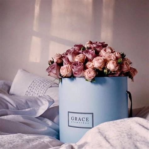 Grace Flowerbox Mit Rosafarbenen Rosen Pinbild Bilder Für Sie