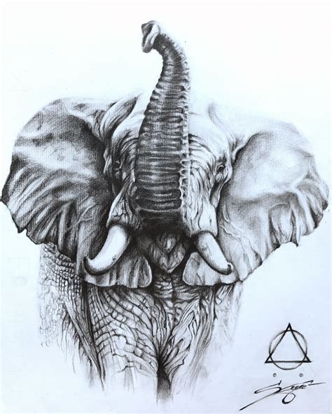 Pencil Drawings Of African Elephants African Elephant Drawing By John