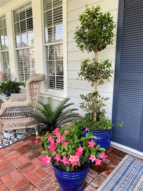 7 Things A Front Porch Needs Celebrate And Decorate Front Porch Plants