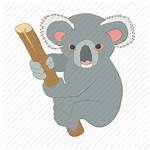 Koala Cartoon Australia Icon Animal Character Icons