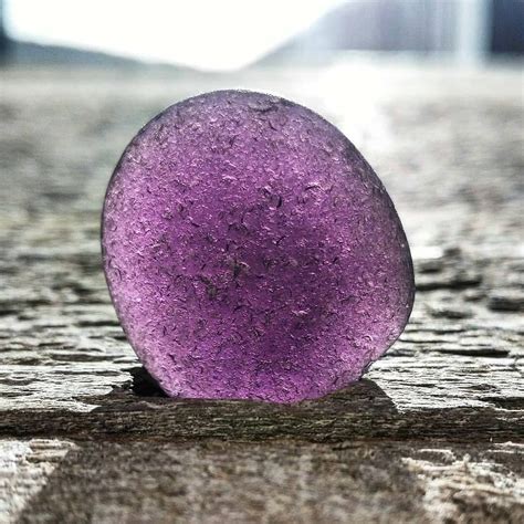 Dark Purple Sea Glass From Newfoundland Canada Sea Glass Shell Sea