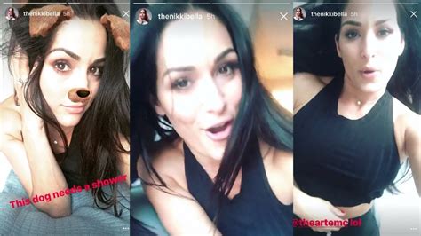 Nikki Bellas Instagram Story September 8th 2017 Youtube