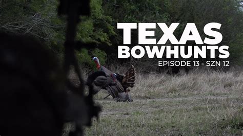 Bowhunting TEXAS GOBBLERS YouTube