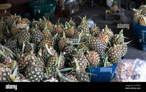 Selling Pineapple Fruits In Tropical Markets In Asia World Imports Of