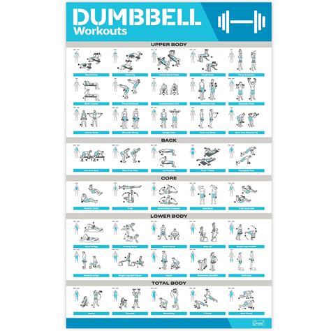 Laminated Large Dumbbell Workout Poster Perfect Dumbbell Exercise