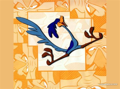 Road Runner Cartoon Wallpaper Wallpapersafari