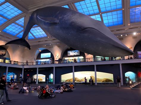 A Night At The Museum 10 Museums That Host Sleepovers Photos Condé