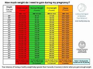What Is Normal Bmi During Pregnancy Aljism Blog