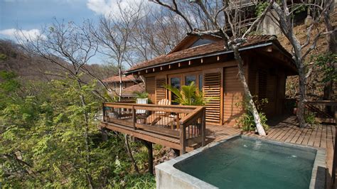 These Rustic Retreats Perched In The Trees Come With Amenities Such As