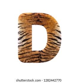 Tiger Letter D Uppercase D Feline Stock Illustration