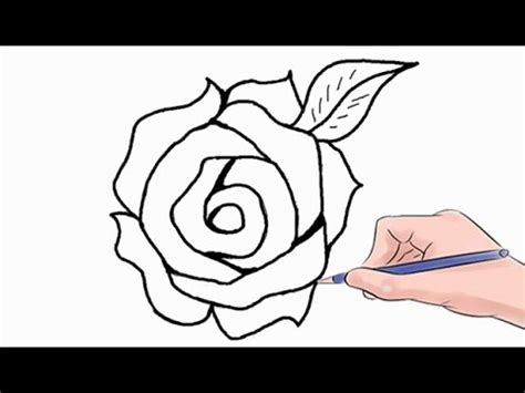 With step by step drawing guides this app makes a great drawing app for kids and adults who want to learn how to draw roses. How to Draw a Rose Easy Step by Step - YouTube